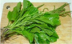 前列腺炎的食疗方你知道吗？
