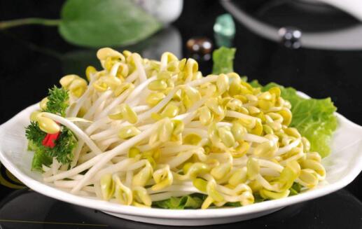 黄豆芽是以黄豆为原料进行制作的一种芽菜 黄豆芽是以黄豆为原料进行制作的一种芽菜