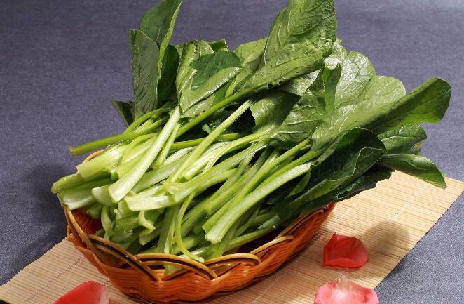 小油菜的营养价值 常吃小油菜竟有那么多好处