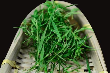 总着急上火怎么办？家中常备淡竹叶！