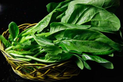 菠菜被誉为春天里的“脑黄金” 但也不可多食