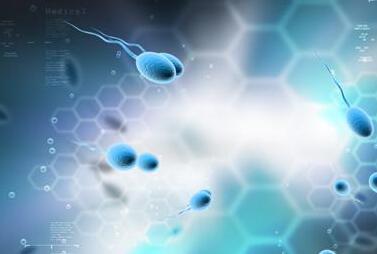 性生活中把精子吞进去会怎么样