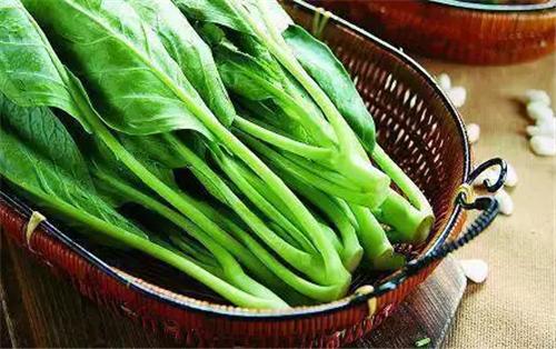 吃绿叶菜也可补钙？专家：钙含量不输牛奶