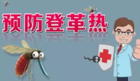 登革热进入高发期，预防工作要做好