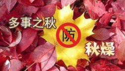 秋燥时节该怎么保护“沙鼻子”