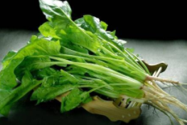 电视剧里的营养指导靠谱吗？