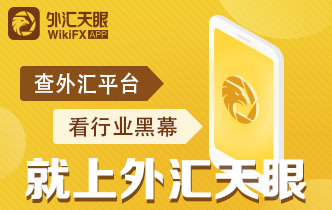 外汇天眼提示交易者：遭遇外汇黑平台报警有用吗