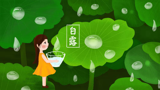 为何要饮“白露茶”、吃龙眼？