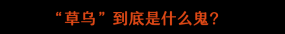  5年毒死42人！这类“药材”千万别拿来煲靓汤