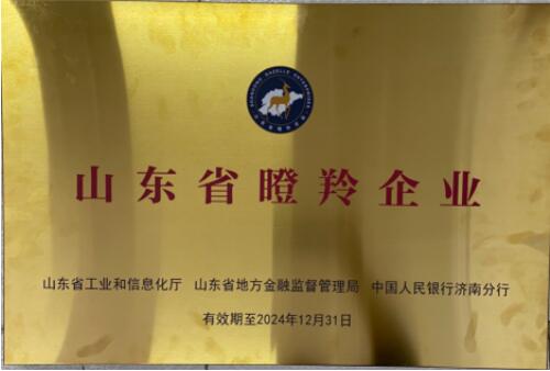 喜报│中亚至宝药业公司荣获2022年度烟台市市长质量奖(图6) 6.jpg