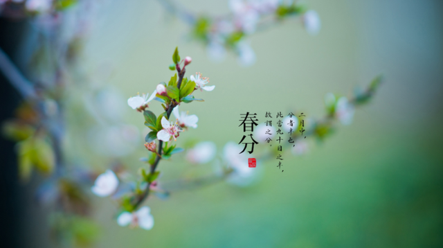 春分养生|春分将至，这些春季养生知识你要知道！