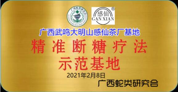 李其斌教授指定大明山感仙红茶为断糖专用茶(图3)