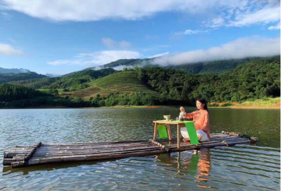 李其斌教授指定大明山感仙红茶为断糖专用茶(图7)