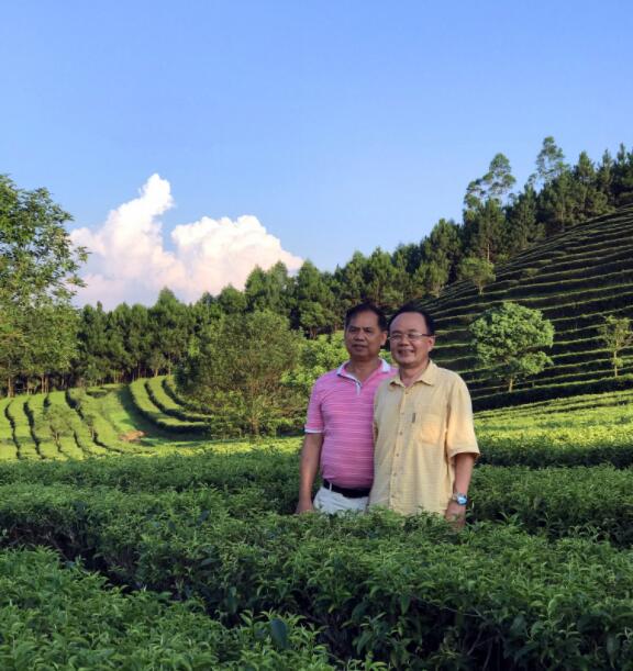 李其斌教授指定大明山感仙红茶为断糖专用茶(图9)